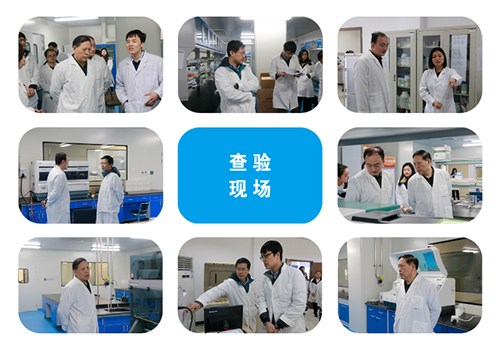 Ê×Ò³| ×ðÁú¼¯ÍÅÖйú¹Ù·½ÍøÕ¾