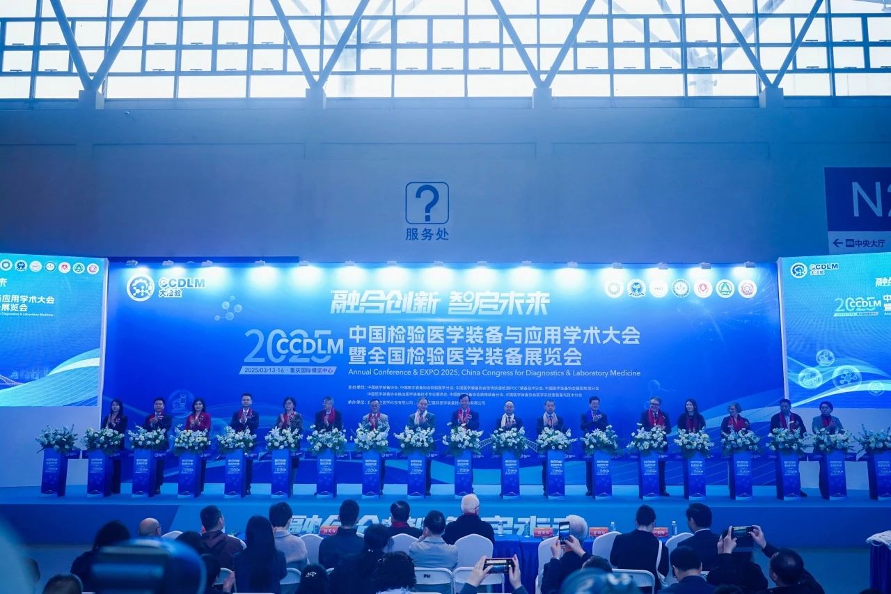 �ں����� ����δ�� | �����ٷ����ﾫ������CCDLM 2025